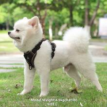 反光寵物背帶和皮帶套裝,適用於狗和貓,防逃可調式小型犬背帶,附軟網布