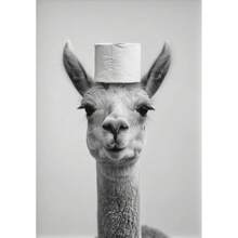 1 peça preto e branco fofo animal e papel higiênico pôster leão coruja gato cachorro pintura em tela arte de parede banheiro sala de estar decoração de casa presentes aniversário formatura