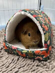 1 chiếc Túi ngủ hình tam giác có đệm in họa tiết hoạt hình cho thú cưng, ấm áp và thoải mái cho thú cưng nhỏ như chim, thích hợp cho mùa thu/đông - Hồng - Xem 4