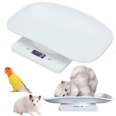 Small Pet Digital Scale Weight Measuring Scale For Weighing Digital Weight Food