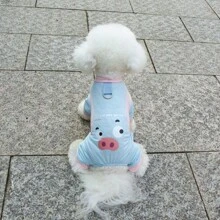 4pcs Dog Summer Breathable Mesh Vest With Leash Clip, Pet Cooling Clothes