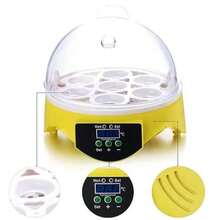 Egg Trays & Baskets - Yellow - View 10