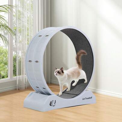 Rueda de ejercicio grande de plástico para gatos con alfombra: cinta de correr silenciosa para gatos con freno y juguete, capacidad de carga hasta 20 kg