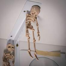 1pc Magnetic Moving Skeleton Fridge Magnet - Vintage Skeleton Theme, Durable Plastic Octagon Design, Funny Gift - Great For Kitchen & Dining Decor, Cute Fridge Magnet, Humorous Skeleton Shape, Lightweight Home Accessory, Fun Decoration, Perfect Halloween Gift, Day Of The Dead Decor