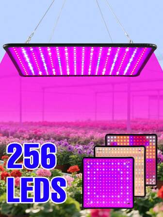LED-groeilamp voor groene planten, volledig spectrum AC100-277V UV-IR Quantum Board Plantenvullamp, zonlichtkas, tent, groeibox, hydrocultuursysteem, rood, blauw, 110V/220V, groente, bonsai, fruitzaailampen, potplanten, vetplanten, mos, cactussen, kweekverlichting met haak, EU-stekker, 81/169/225/256 leds