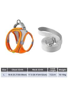 2pcs/Set Reflective Cat Dog Leash And Harness Set - Comfortable, Breathable Mesh Vest With Padded Nylon Lead For Small To Medium Breeds Pet Collars - No-Choke Design With Dual D-Ring