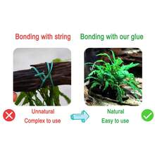 鱼缸胶水，速干水草胶，适用于珊瑚鱼缸造景，即时 - 無色 - 查看 6