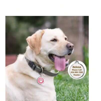Okrągły identyfikator dla psa z łapką, spersonalizowany identyfikator dla zwierząt, antyzagubiony, identyfikator dla kota, kociaka, szczeniaka, obroża dla zwierząt, wisiorek, akcesoria, identyfikatory dla psów