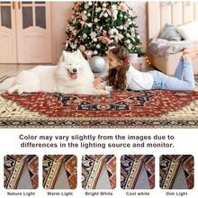 Carpets - Rust & Red - View 11