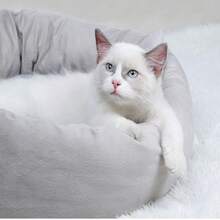 Pet Bed & Crate Mat - 50cm Diameter Pink Cat Bed With Pillow - View 5