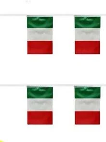 意大利国旗、节日庆祝彩旗、悬挂旗帜 - 彩色 - 查看 6