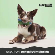 Crocness Monster Dog Toy For Medium Dogs – Beef-Scented, Perfect For Tough Chewers To Grab, Grip, And Chew For Endless Fun - Jutter Pug Coffee Bean - View 5