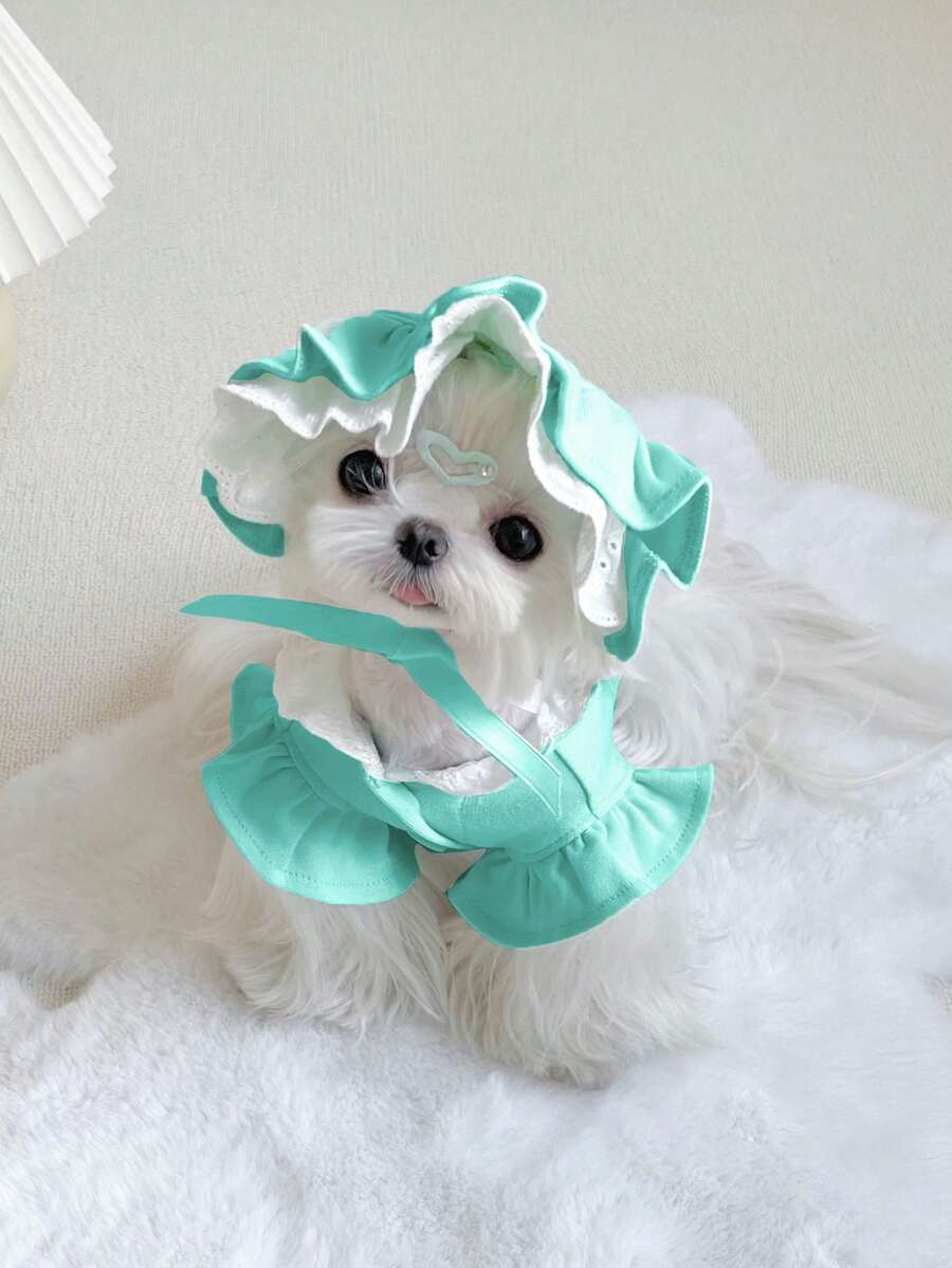 2件套宠物T恤和帽子套装，猫和小狗公主装，双腿户外防晒服，春夏季宠物上衣