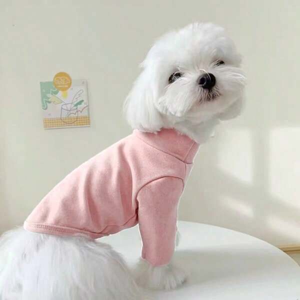 Maglietta a collo alto tinta unita, indumenti per animali domestici in pile caldi per l'autunno/inverno