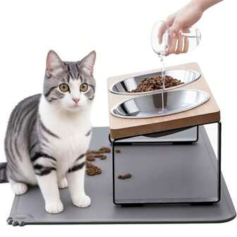 升级版加高猫碗，15°倾斜支架防呕吐加高猫食盆和水盆，2个不锈钢猫和小狗碗