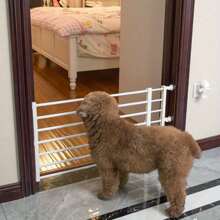 Pet Fence, Indoor Pet Gate, Dog Barrier, Cat Barrier, Adjustable Pet Gate, Dog Playpen, Puppy Fence, Kitten Fence, Pet Safety Gate, Room Divider For Pets, Dog Cage, Large Dog Crate, Small Dog Crate, Pet Enclosure, Foldable Pet Pen, Portable Dog Fence, House Training, Pet Containment, Escape Proof Gate, All Size Dogs