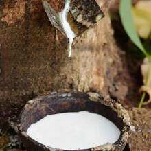 1 Box Premium Latex Rubber Third-Generation Slingshot Flat Rubber Band With Frame, Slingshot Replacement Band - Non-Slip, High Elasticity, Durability Thick, Strong And Wide Rubber Band For Hunting & Fishing, Outdoor Antifreeze And Thickening, Slingshot For Hunting And Fishing With Transparent Storage Box - Yellow - View 6