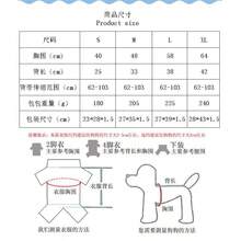 Best-Selling Pet Dog Backpack, Breathable Pet Carrier Backpack, Suitable For Pets All Seasons Cat Carrier Cat Bag