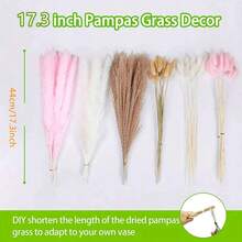 80PCS Natural Dried Pampas Grass Boho Home Decor Bouquet Phragmites Dried Flowers Bouquet For Wedding Floral Arrangements Home Decorations - Multicolor - View 3