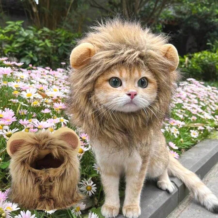 New Cute Funny Pets Clothes Cap Cute Cat Wig Lion Mane Costume Cosplay Kitten Dog Hat With Ears Fancy Party Supplies Halloween Halloween Costumes - Multicolor - View 1