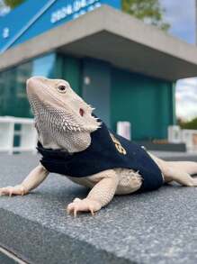 1pc Adjustable Fit" Adjustable Reptile Harness With Leash - Comfort Fit For Bearded Dragons, Lizards & Small Pets - Polyester Outdoor Walking Gear