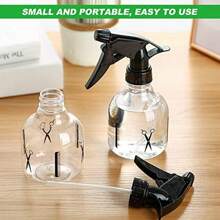 2个250毫升喷雾瓶，用于幼苗的雾化器喷雾瓶，用于花卉和植物的透明空水喷雾瓶，美发喷雾瓶 - 彩色 - 查看 6