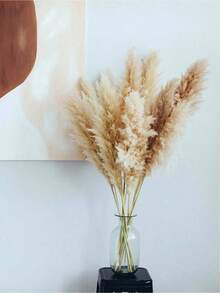 5/10/20pcs 22" Tall Natural Pampas Grass Dried Flower Bouquet, Wedding Table Party Farmhouse Boho Home Decor, Bridal Bridesmaid Vase DIY, Halloween Thanksgiving Fall Harvest Decor, Birthday Graduation Autumn Decoration - Multicolor - View 5