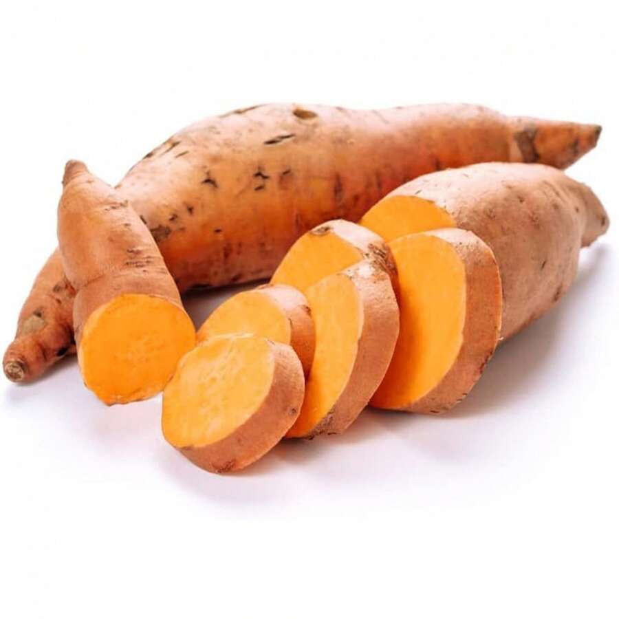 Plántulas de batata Beauregard para plantar - Cultiva tu propia o plantas en , semillas de vegetales, plantas de hosta, plantas vivas, plantas de jardinería, semillas de flores, plantas de flores para exteriores, semillas de flores para plantar, plantas vivas en , no semillas, plantas vivas en , plantas perennes para exteriores, semillas para plantar, plantas vivas en , no semillas, semillas de flores perennes, semillas de plantas - 6 esquejes de plantas - Ver 1