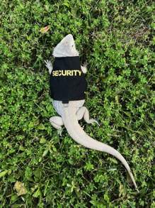 1pc Adjustable Fit" Adjustable Reptile Harness With Leash - Comfort Fit For Bearded Dragons, Lizards & Small Pets - Polyester Outdoor Walking Gear