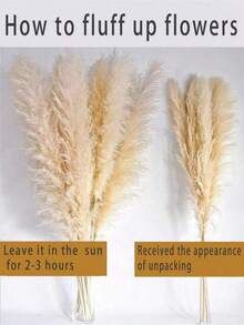 5/10/20pcs 22" Tall Natural Pampas Grass Dried Flower Bouquet, Wedding Table Party Farmhouse Boho Home Decor, Bridal Bridesmaid Vase DIY, Halloween Thanksgiving Fall Harvest Decor, Birthday Graduation Autumn Decoration - Multicolor - View 6