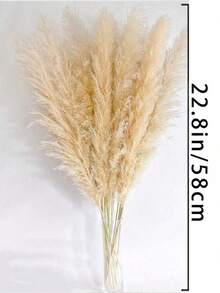 5/10/20pcs 22" Tall Natural Pampas Grass Dried Flower Bouquet, Wedding Table Party Farmhouse Boho Home Decor, Bridal Bridesmaid Vase DIY, Halloween Thanksgiving Fall Harvest Decor, Birthday Graduation Autumn Decoration - Multicolor - View 7