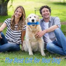 1pc Dog Chew Toy With Sound, Interactive Training Toy Bone, Durable Rubber Toy For Pet Boredom Relief - Cute Cartoon Dog Chew Toy, Essential Pet Accessory! Cartoon Style, Colorful, Bone Shaped, Durable Details, Sound Function, Suitable For Daily Play/Training/Holiday Celebration - Multicolor - View 7