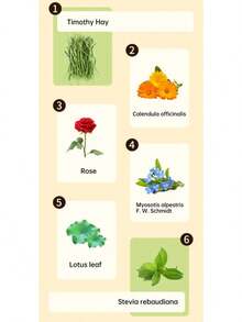 3 piezas de patatas fritas para masticar con forma de conejo, juguetes para masticar con flores naturales mezcladas para conejos, Chinchilla, conejillo de indias, hámster, juguetes molares - 3 piezas - Ver 5