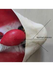1 件小丑恐怖服装动漫角色扮演面具、节日派对恶作剧道具、微笑小丑恶魔面具、新款小丑迷你面具头饰、化妆舞会万圣节恐怖道具 - 彩色 - 查看 11