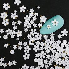 12格彩色五瓣花美甲饰品提供丰富的色调，包括蓝色、黄色、粉色、红色等。如此丰富的色彩组合，让您轻松搭配不同颜色的指甲油，打造适合各种场合的独特美甲造型。美甲用品 美甲 美甲饰品 美甲宝石