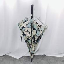 Umbrellas