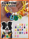 Collares, Correas y Arneses Personalizados para Mascotas