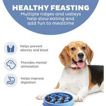 Fun Feeder Slo Bowl Slow Pet Feeder Bowl For Dogs In Mint Plasticzyy1 - 薄荷+中 - 查看 2