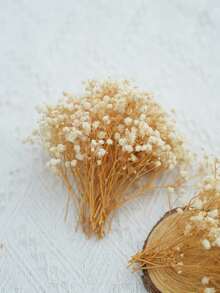 25/50/100/300 Pcs Or 50/150g Mini Baby's Breath Flowers And Other Dried Flowers - For Resin Mold Art Craft, Ivory White Flowers Bouquet For Hair Accessory, Wedding Wreath, Table Vase, Home Decor - Beige - View 2