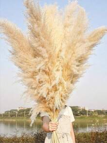 5/10/20pcs 22" Tall Natural Pampas Grass Dried Flower Bouquet, Wedding Table Party Farmhouse Boho Home Decor, Bridal Bridesmaid Vase DIY, Halloween Thanksgiving Fall Harvest Decor, Birthday Graduation Autumn Decoration - Multicolor - View 8