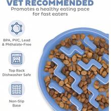 Fun Feeder Slo Bowl Slow Pet Feeder Bowl For Dogs In Mint Plasticzyy1 - 薄荷+中 - 查看 3