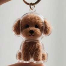 Customized Pet Pendant, Small Dog & Cat Hair Storage Capsule Transparent Keychain, Memorabilia Back To School Gifts Ornamental,Engraved Stylish,Fashion,Colorful,Vintage,Cute,Contracted,Cuties Custom,Unique,Customized,Personalized Pet For Anniversaries,For Birthdays