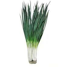 Vitality Seeds Exquisite Gift Seeds 226 Four-Season Leek Seeds Garden Balcony Potted Onion Vegetable Seeds Easy To Plant Vegetables And Fruit Seeds In Four Seasons - 226件 - 查看 5
