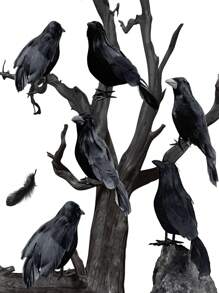 1pc/3pcs/6pcs/Halloween Black Crow Model, Simulation Fake Bird Animal Horror Props For Halloween Party Home Decoration Horror Props