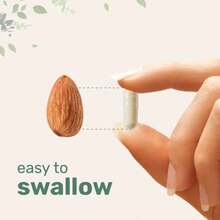 Multi Collagen Complex Capsules - 240 Capsules With Types I, II, III, V, X Collagen, Biotin, Vitamin C & Hyaluronic Acid For Skin, Hair, Nails & Joint Support - 1 cái - Xem 7