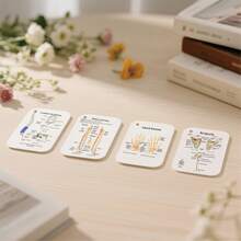 Human Skeleton Cards ,Human Body Anatomy,Skeletal System,Diagram Of Human Skeleton,Bones Of The Body Flashcards,My Bones Cards.