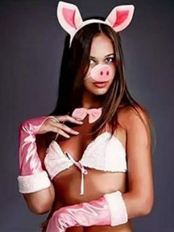 4pcs/Theme Festival Party Animal Headband Pig Headband Set Pink Pig Ears Headband Costume Dance Party Performance Prop