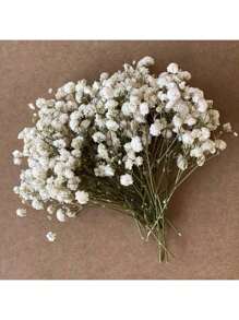 60/100 piezas de mini manojos blancos de flores del heno del bebé - Hierba pampas seca, para arreglos DIY, tarjetas de felicitación, decoración de bodas y fiestas, regalos del Día de San Valentín, cumpleaños, graduación, decoración de otoño