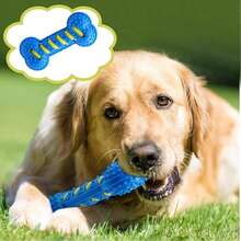 1pc Dog Chew Toy With Sound, Interactive Training Toy Bone, Durable Rubber Toy For Pet Boredom Relief - Cute Cartoon Dog Chew Toy, Essential Pet Accessory! Cartoon Style, Colorful, Bone Shaped, Durable Details, Sound Function, Suitable For Daily Play/Training/Holiday Celebration - Multicolor - View 6
