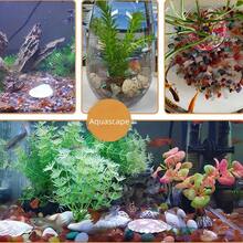 100جرام/150جرام/200جرام/300جرام أحجار عقيق ملونة، حصى، ديكور حوض السمك، ديكور المنزل، لتزيين الأحواض المائية، أصص النباتات الصغيرة، ديكور الحديقة، حصى حوض السمك، ديكور النباتات